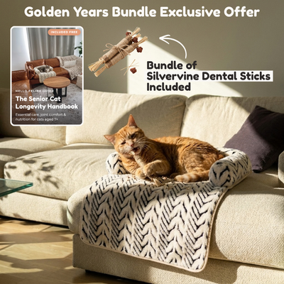 SoftSpot™ Senior Cat Orthopaedic Couch Bed