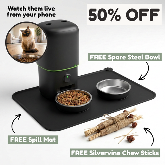 Hello Feline™ Smart Vision Feeder