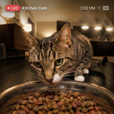 Hello Feline™ Smart Vision Feeder